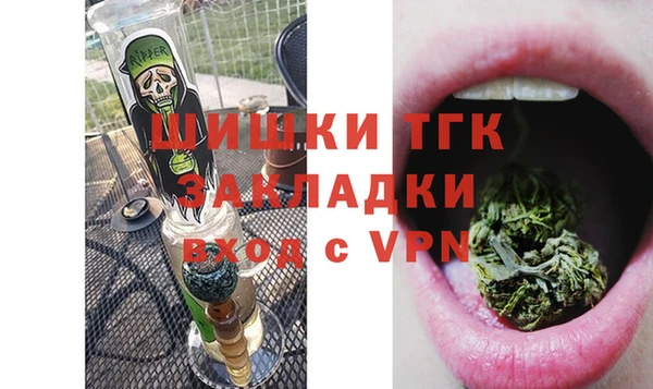 тгк Алексин