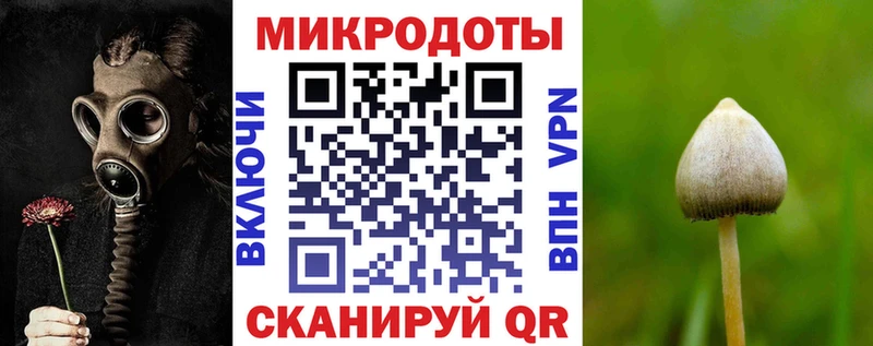 mega   цены наркотик  Дедовск  Галлюциногенные грибы Psilocybe 